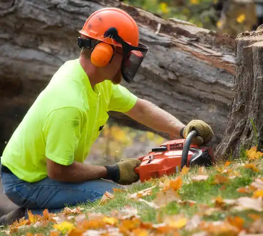 tree services Saco